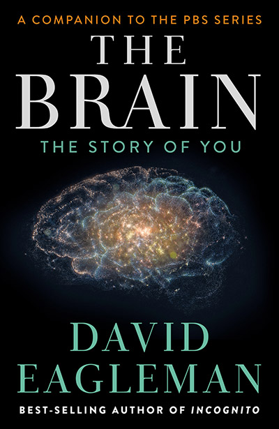 Brain : The Story of You